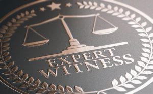 legal expertise. expert witness service