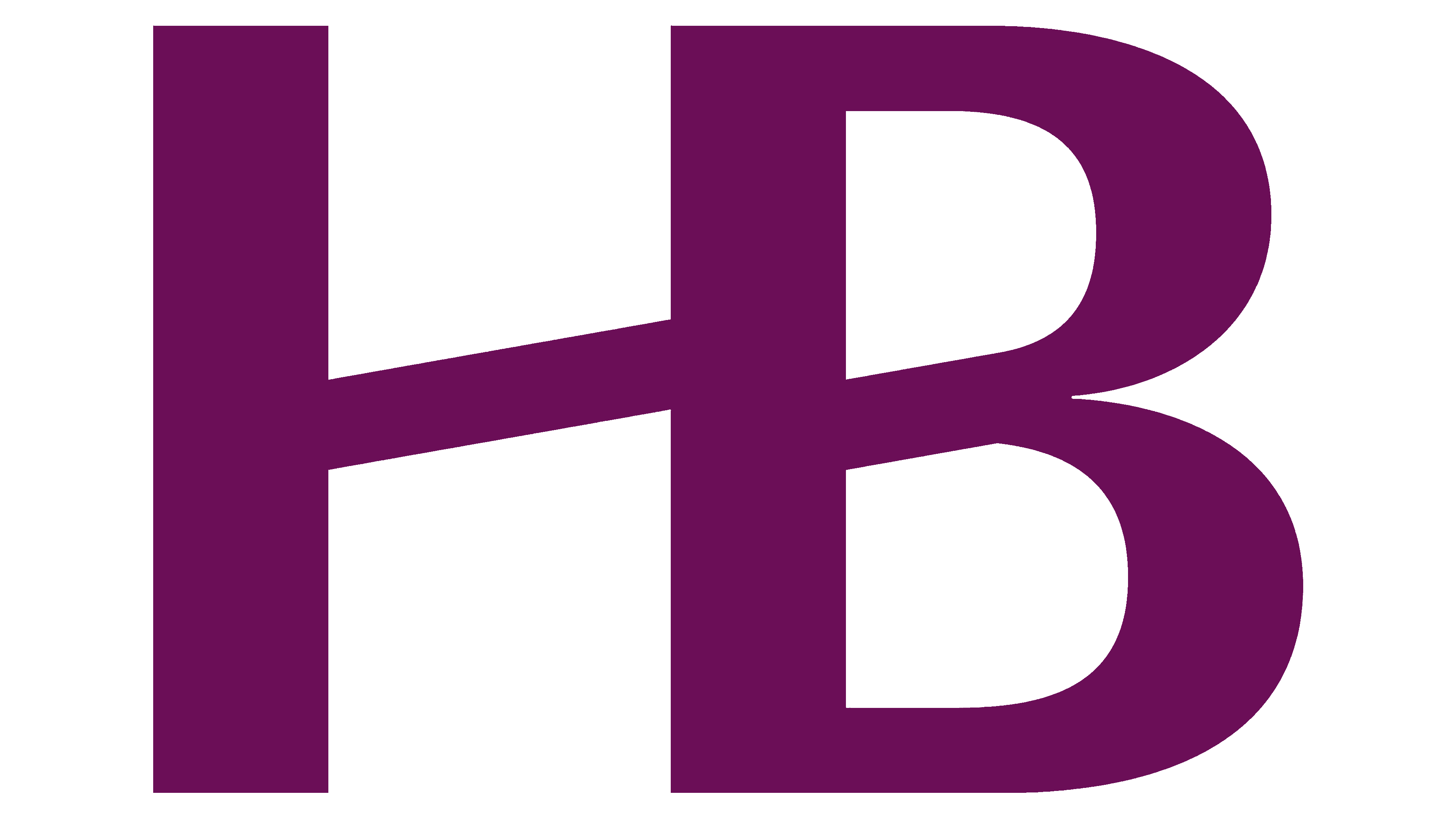 Haynes Boone logo